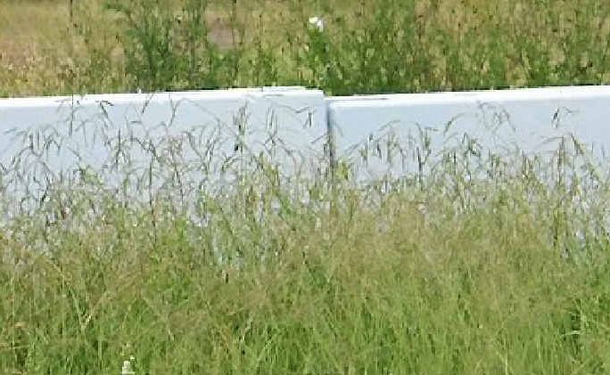 The maintenance of the Leyburn Sprints barriers is among the complaints from some of the town’s residents. The maintenance of the Leyburn Sprints barriers is among the complaints from some of the town’s residents.